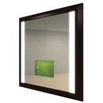Ovation Mirror TV
