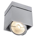 Kardamod Ceiling Light