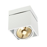 Kardamod AR111 Ceiling Light
