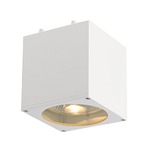 Big Theo Ceiling Light