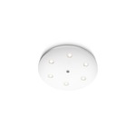 Louise Ceiling Light