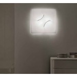 In and Out Wall/Ceiling Mount