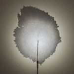 Ombra Wall Sconce