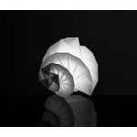 Mendori Table Lamp