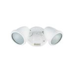 Ariel Exterior Wall Spotlight