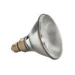 PAR38 Medium Base 88W 120V