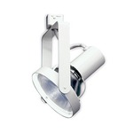 PAR30 Front Relamping Gimbal Head