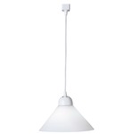R560 Trac-Lites Line Voltage Large Cone Pendant