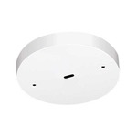 TL540 Cylindrical Surface Monopoint W / Integral Transformer