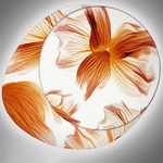 Wagashi Grande Wall / Ceiling Mount
