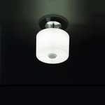 Funghi Wall / Ceiling Mount