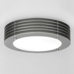 Lyra Indoor/Outdoor Ceiling/Wall Mount