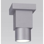 Dupla LED Ceiling Light 