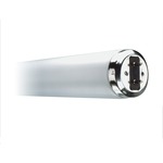 T12 Medium Bipin 15W 120V 4100K