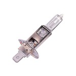 H1 Tizio P14.5S Base 55W 12V