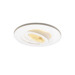 R3-488 3 Inch Adjustable Spot Trim