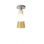 Bird Ceiling Flush Mount