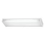 1010 Fluorescent Ceiling Mount