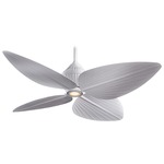 Gaugain Fan