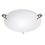 T-512 Series Wall / Ceiling Mount