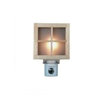 Window Nightsight Fixture