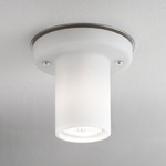 Mania-V Ceiling Flush Mount