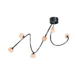 Circus Ceiling Mount