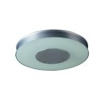 Vision Ceiling Flush Mount