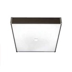Citadel Wall / Ceiling Mount