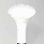 Grace Table Lamp