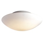 P852 Ceiling Flush Mount