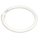 T5 Circline 2Gx13 Base 22W 120V