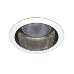 CTR53002 5 Inch PAR30 Multiplier Trim