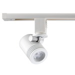 LED Mini-Cylinder Flood Head
