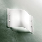 Maxi Wall / Ceiling Mount