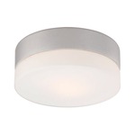 Disc Ceiling Flush Mount