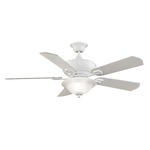 Camhaven Ceiling Fan W / Light