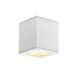 Big Theo Ceiling Out Exterior Wall Sconce