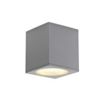 Big Theo Ceiling Out Exterior Wall Sconce