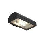 Theo Flood Exterior Wall Sconce