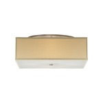 Chambers Ceiling Light
