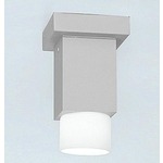 Dupla Halogen Ceiling Light 