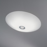 Disco Ceiling Light
