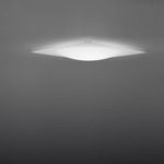 Quadra Ice Flat Ceiling Mount