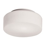Tango Wall or Ceiling Light