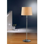 2545 Illuminator Adjustable Floor Lamp