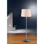 2545 Illuminator Adjustable Floor Lamp