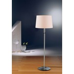 2545 Illuminator Adjustable Floor Lamp