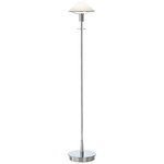 Aging Eye Glass Shade Floor Lamp