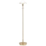 Aging Eye Glass Shade Floor Lamp